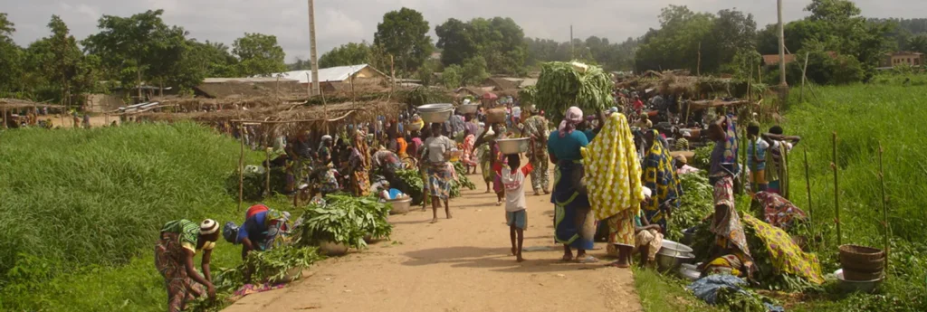 Travail de terrain : marché de village dans la vallée de l'Ouémé au Bénin